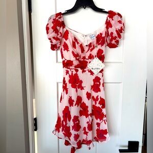 Angel Biba dress size S new